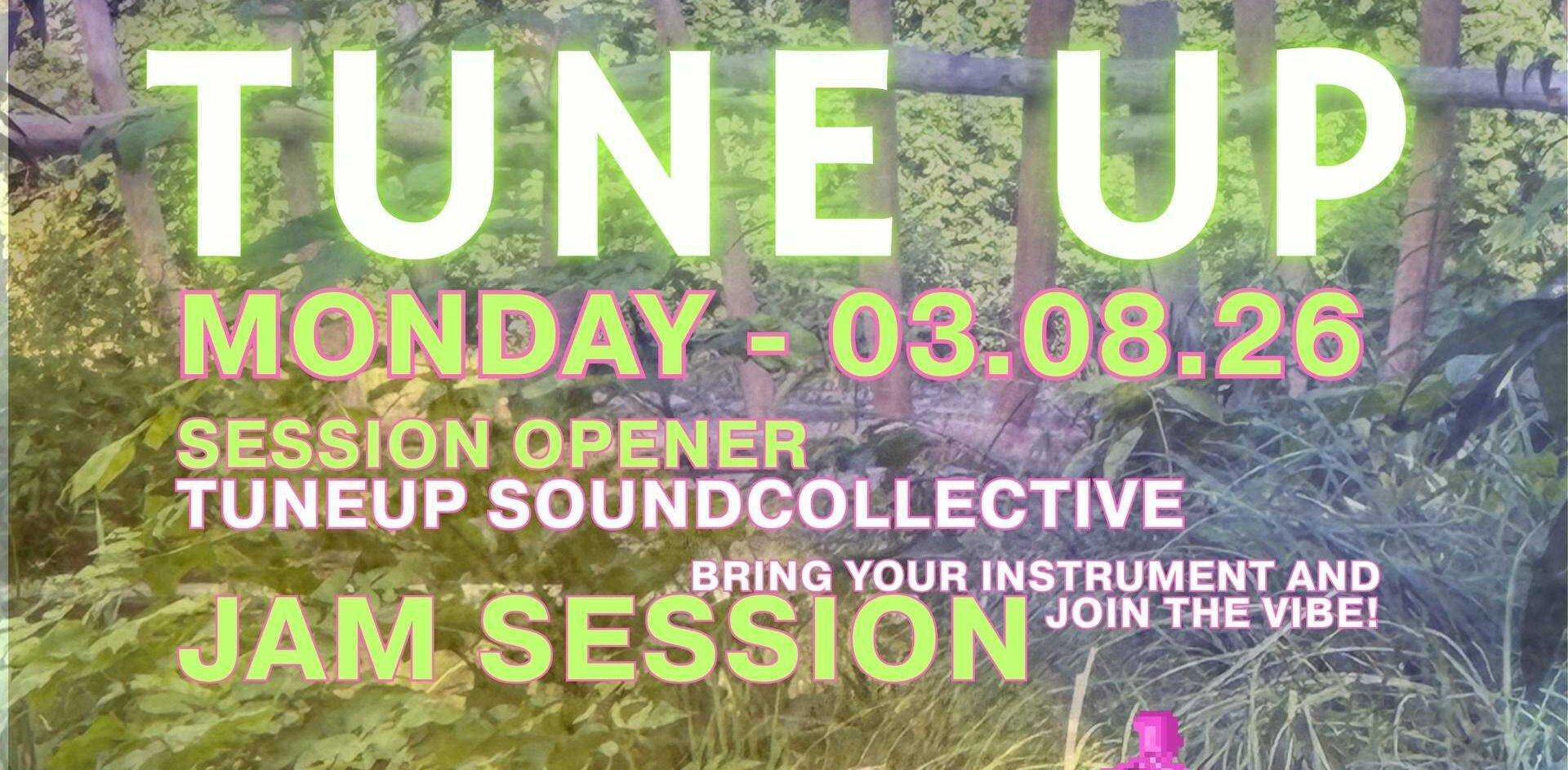 TuneUp Session // Sommer Edition